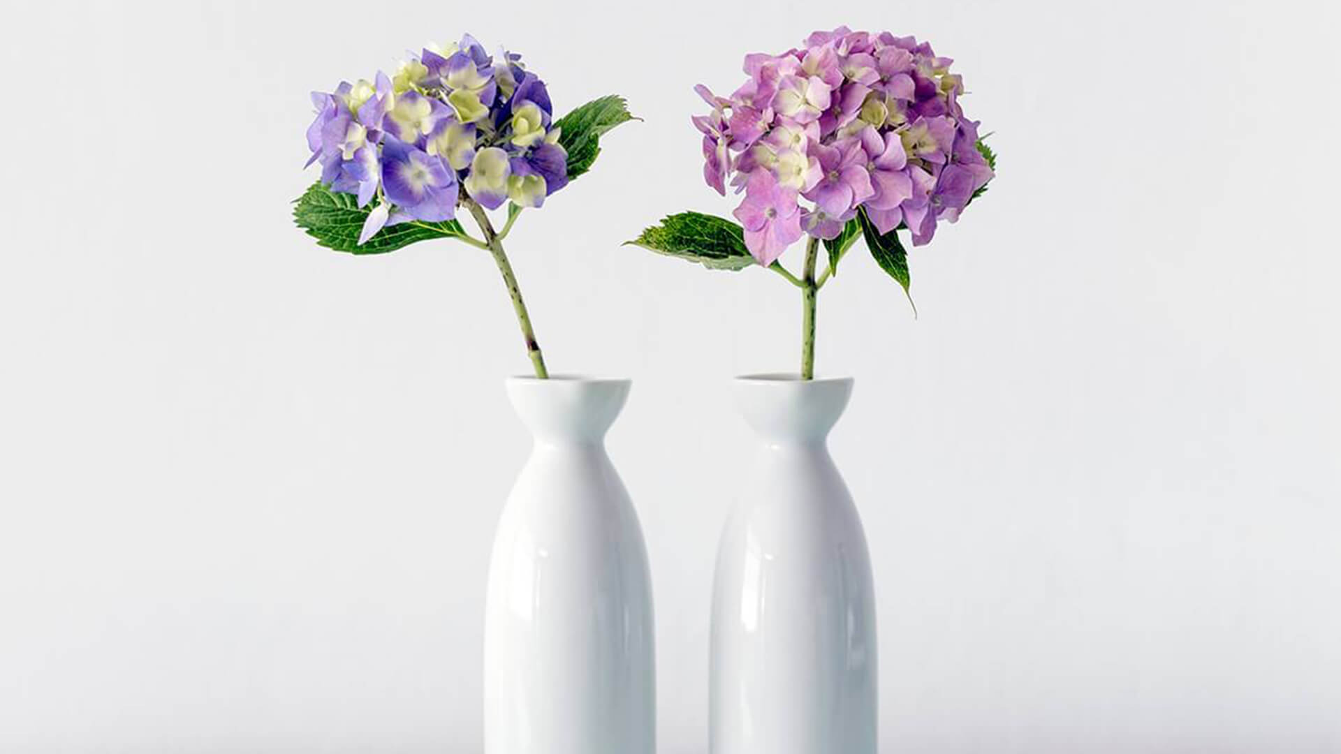 Minimalistic Flower Vases